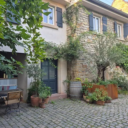 Neue Dachwohnung Im Herzen Von Goennheim Lejlighed *