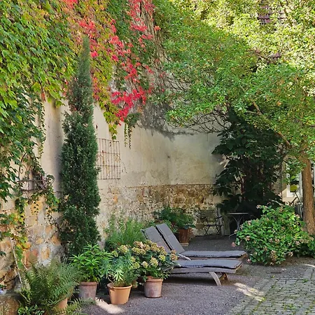 Dachwohnung Im Herzen Von Goennheim Gonnheim