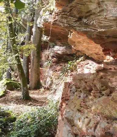 Dachwohnung Im Herzen Von Goennheim * Gonnheim