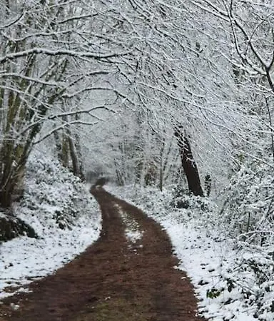 Neue Dachwohnung Im Herzen Von Goennheim *