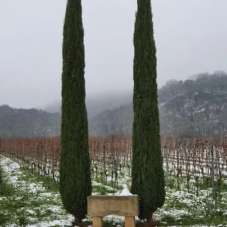 Neue Dachwohnung Im Herzen Von Goennheim *