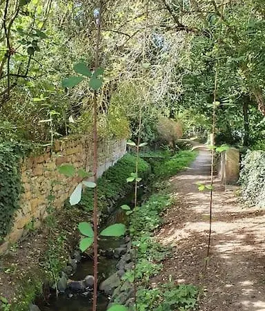 アパート Neue Dachwohnung Im Herzen Von Goennheim Gonnheim