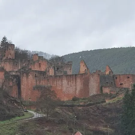 Neue Dachwohnung Im Herzen Von Goennheim *