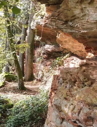 Neue Dachwohnung Im Herzen Von Goennheim * Gonnheim