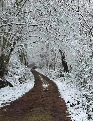Neue Dachwohnung Im Herzen Von Goennheim *