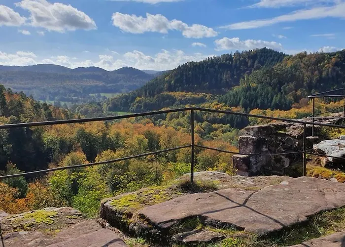 Lejlighed Neue Dachwohnung Im Herzen Von Goennheim