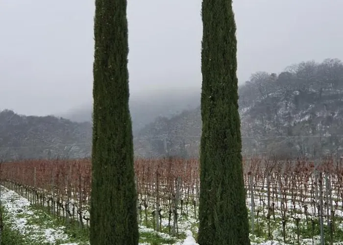 Neue Dachwohnung Im Herzen Von Goennheim *
