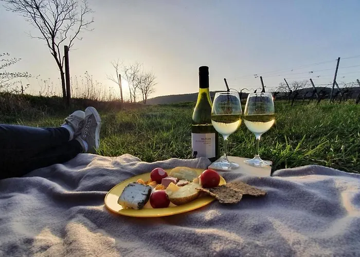 Lejlighed Neue Dachwohnung Im Herzen Von Goennheim