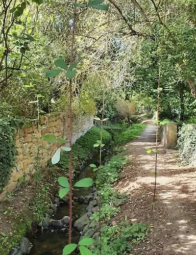 Lejlighed Neue Dachwohnung Im Herzen Von Goennheim Gonnheim