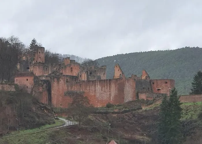 Neue Dachwohnung Im Herzen Von Goennheim *