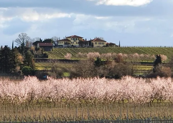 Neue Dachwohnung Im Herzen Von Goennheim *